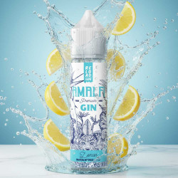 Amalfi Gin Lemon 15ml/60ml