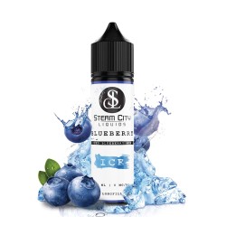 Steam City Flavour Shot - Blueberry Ice 12/60ml